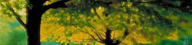 Faith Chapel Ministries Rotating Header Image