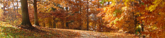 Faith Chapel Ministries Rotating Header Image