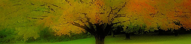 Faith Chapel Ministries Rotating Header Image